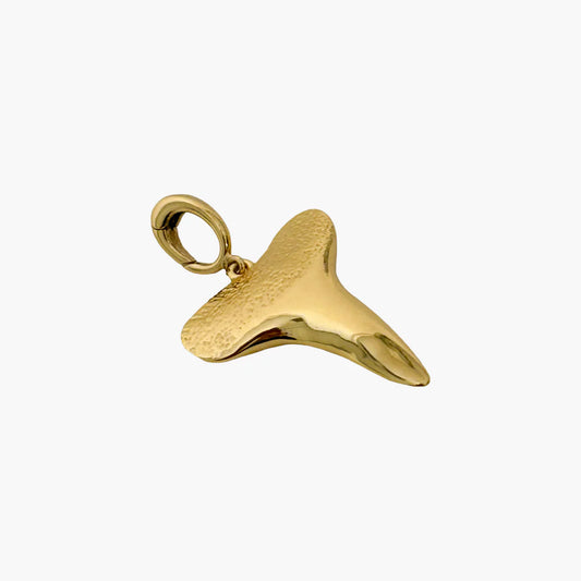 Shark Tooth Charm - Medium