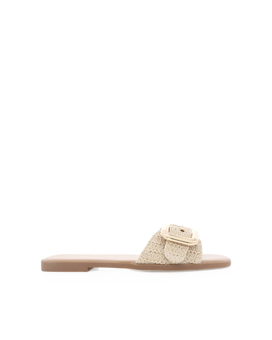 Vasili Slide