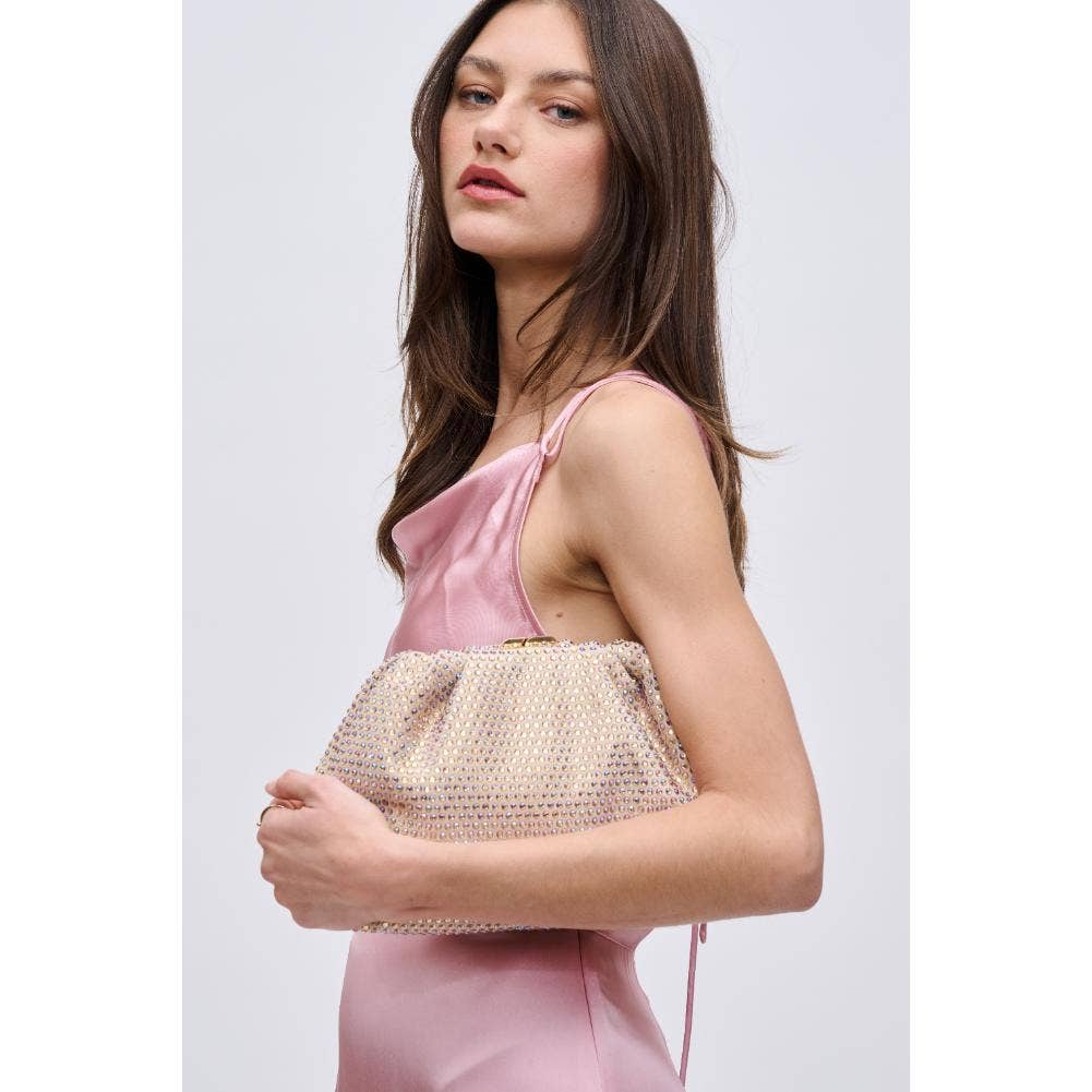 Arielle Evening Clutch Bag