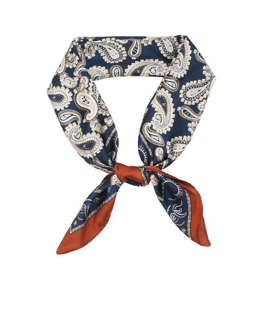 Paisley Border Scarf