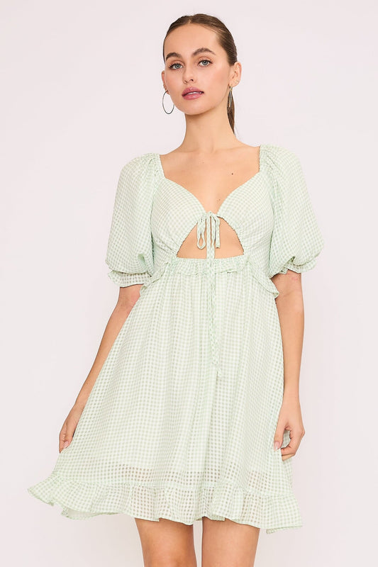 Garden Party Dress