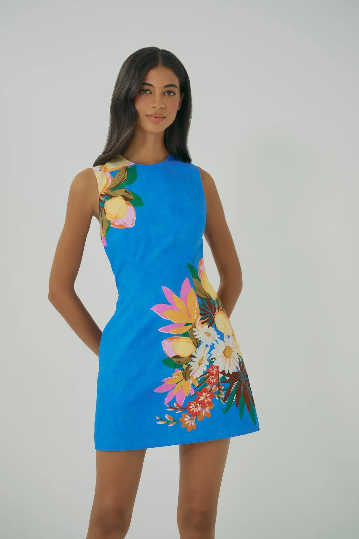 Janesta Dress