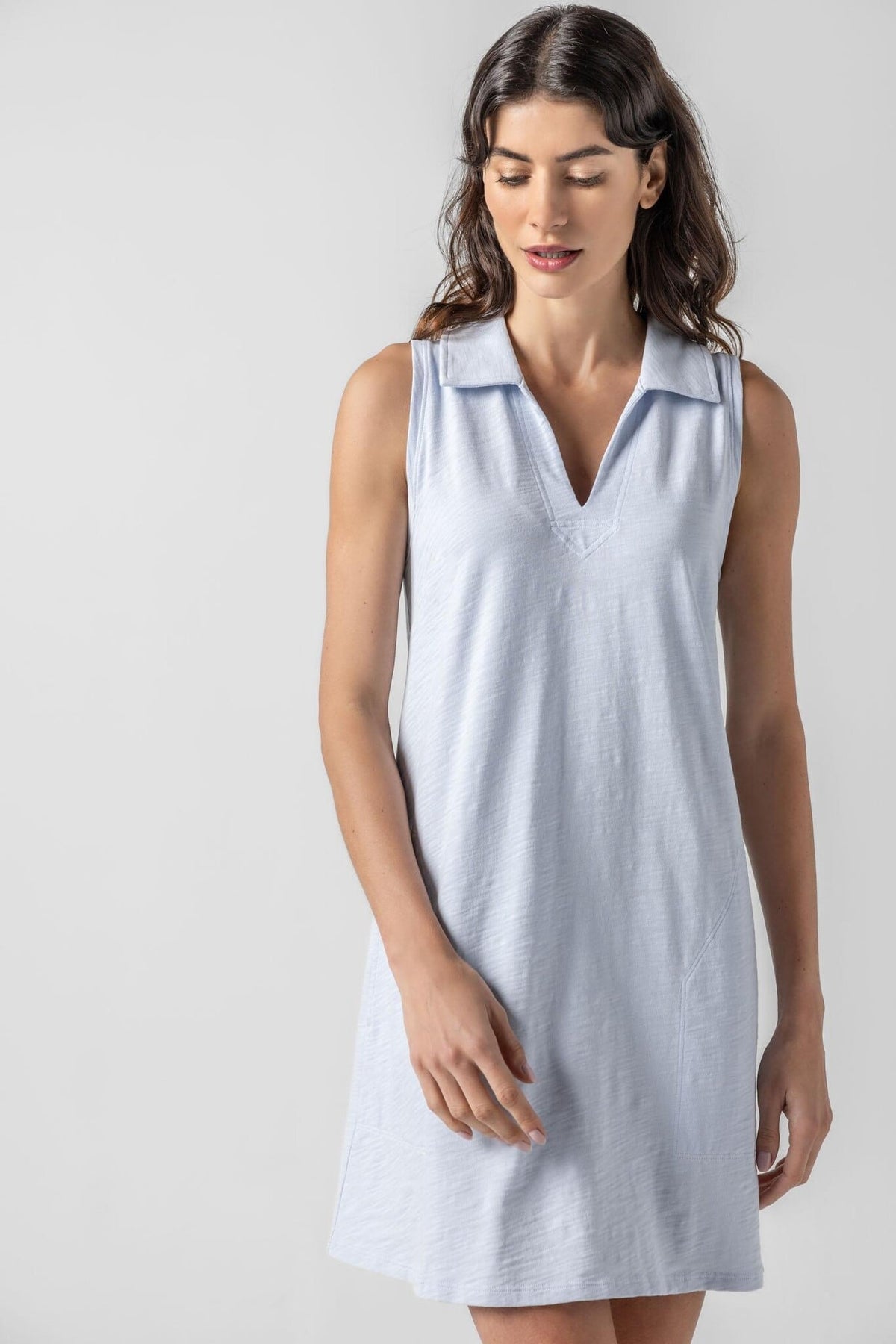 Sleeveless Collared Dress