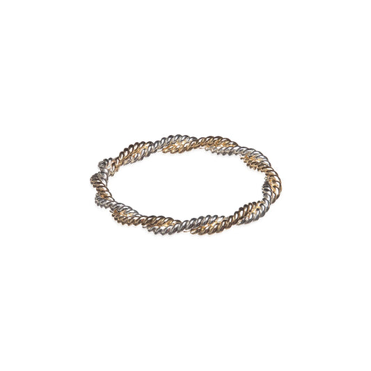 Double Twist Ring