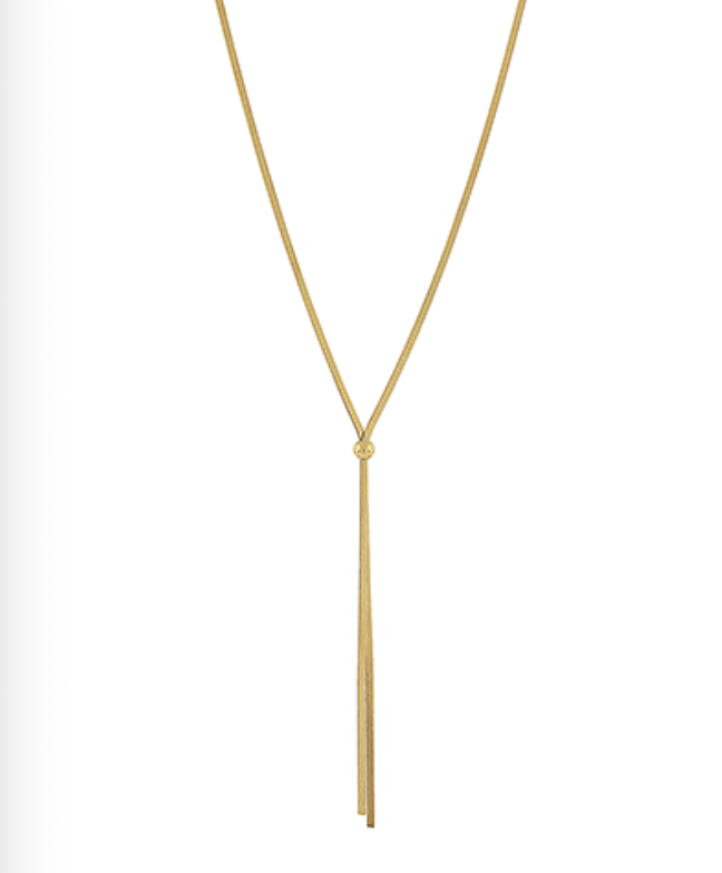 Snake Chain Long Necklace