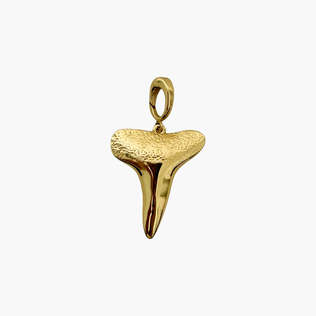 Shark Tooth Charm - Medium